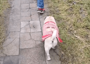 Ta pustka obok Miszurka jest czasem ponad moje siły…