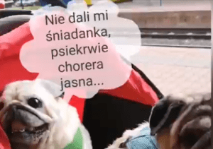 Meldujemy się z ekstra wynikami krwi!