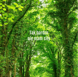 taki piękny maj, a ja tak bardzo nie mam na niego siły…