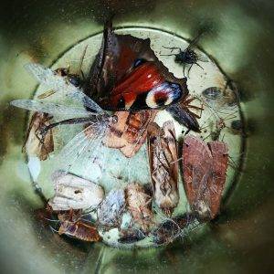 jest dobrze, ale sypiam głównie na zopiklonie i kwetiapinie