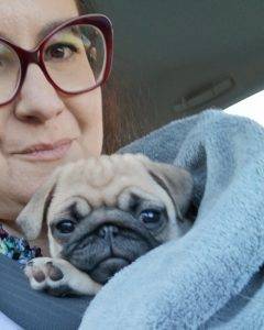 ❤️ Małe Czuczu ❤️