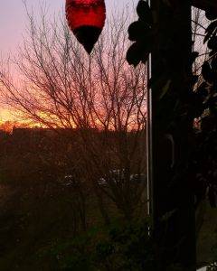 chowam się głęboko w norze