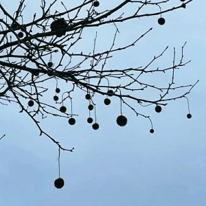 stare, dziwne i niesmaczne