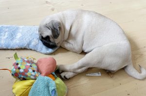 Bawiło, bawiło i zasnęło, potem obudziło, znów bawiło, bawiło i znów zasnęło…