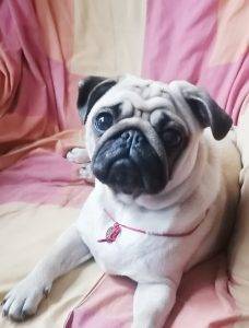 wszystkie fazy znudzenia