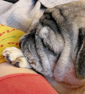 spanie z mamą VS. spanie na mamie