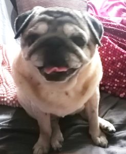 Miszurek zaprasza wypierdalać