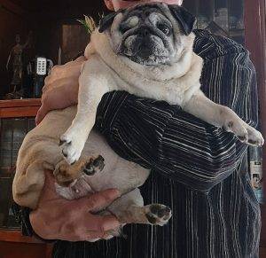 Wojtuś, najlepszy przyjaciel Miszurka