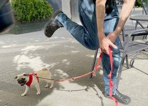 z czym do ludzi, dzikusy?!