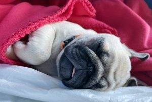 Rzadkie chwile grzeczności, jakże warte upamiętnienia!