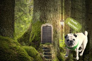 Zawsze razem. Na zawsze razem.