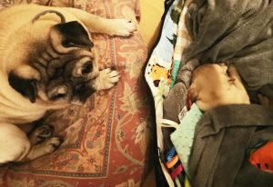 Małe Czuczu poznaje Misia Miszura. Miś Miszur poznaje Małe Czuczu.