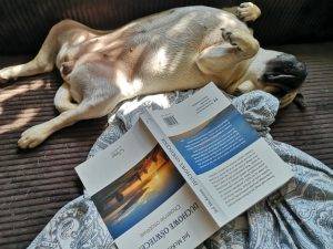 Szczeniaczkowe awanturnictwo vs. nauka grzeczności