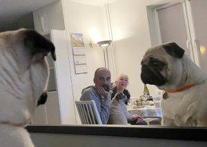 Małe Czuczu poznaje swojego sobowtóra!