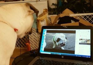 Niegrzeczność to jej drugie imię (+ szkolenie u Kumoka)