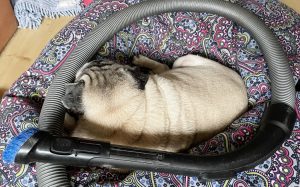 Wszechświat Misia Miszura