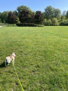 Kraina Traw i Jezior Małego Czuczu