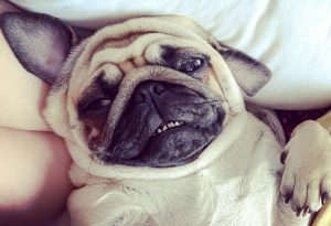 mądre, kochane, dobre i śliczne