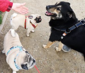 spacerek z Wujkiem Benkiem