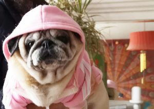 Miszur rządzi na dzielni!