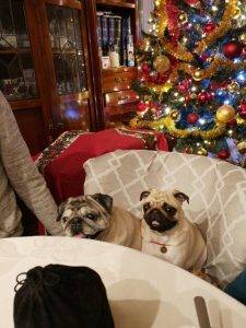 zawsze i wszędzie – razem