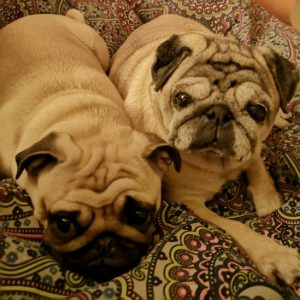 długie zimowe wieczory