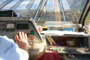 strzeż się, strzeż.