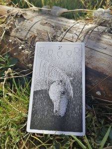 karta dnia: PIĄTKA KIELICHÓW