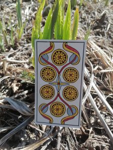 karta dnia: SZÓSTKA DENARÓW