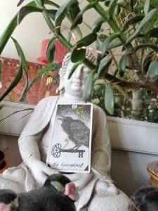 karta dnia: V HIEROFANT