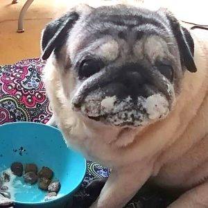 Kto dzisiaj kończy 13 lat?