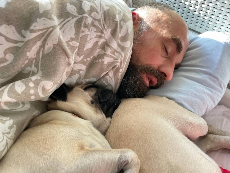 mops mopsy życie z mopsami mopsiczki Miszur i Czuczu