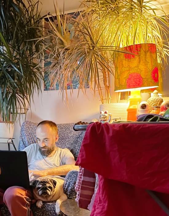 mops mopsy życie z mopsami mopsiczki Miszur i Czuczu