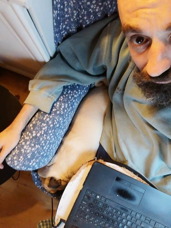 mopsy mopsiki Zazie mopsiczki Miszur i Czuczu