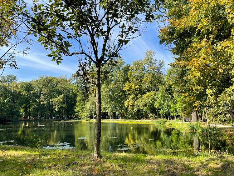 spacery z psem spacery z mopsikiem Czuczu na spacerze mopsiczka Czuczu