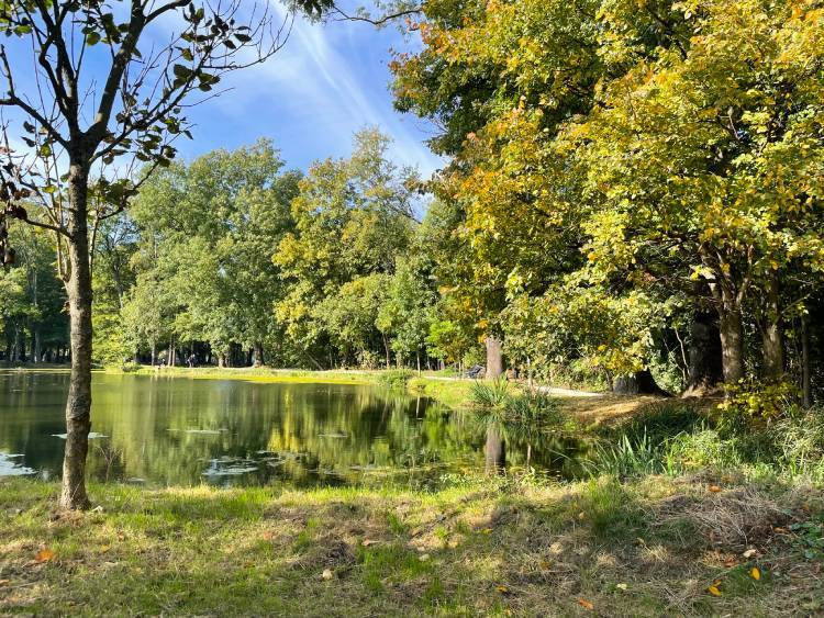 spacery z psem spacery z mopsikiem Czuczu na spacerze mopsiczka Czuczu