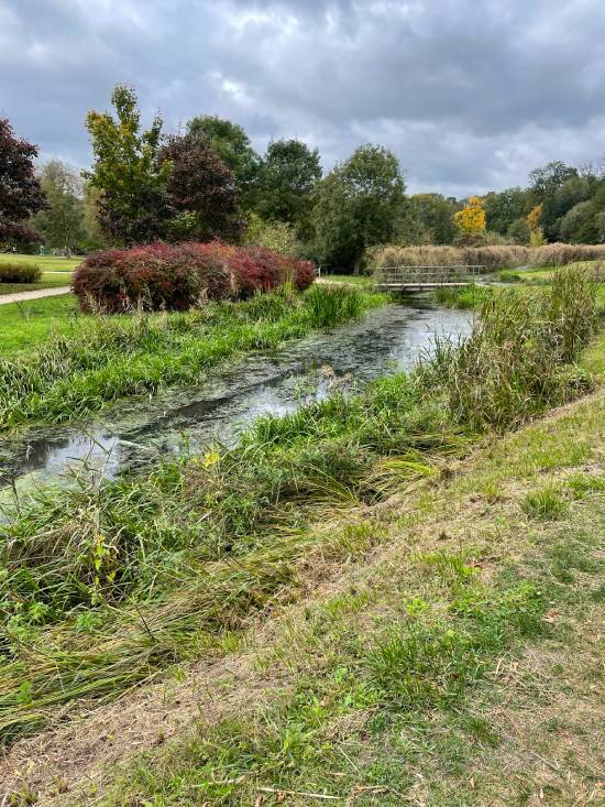 spacery z psem spacery z mopsikiem Czuczu na spacerze mopsiczka Czuczu