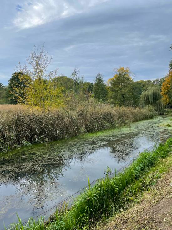 spacery z psem spacery z mopsikiem Czuczu na spacerze mopsiczka Czuczu