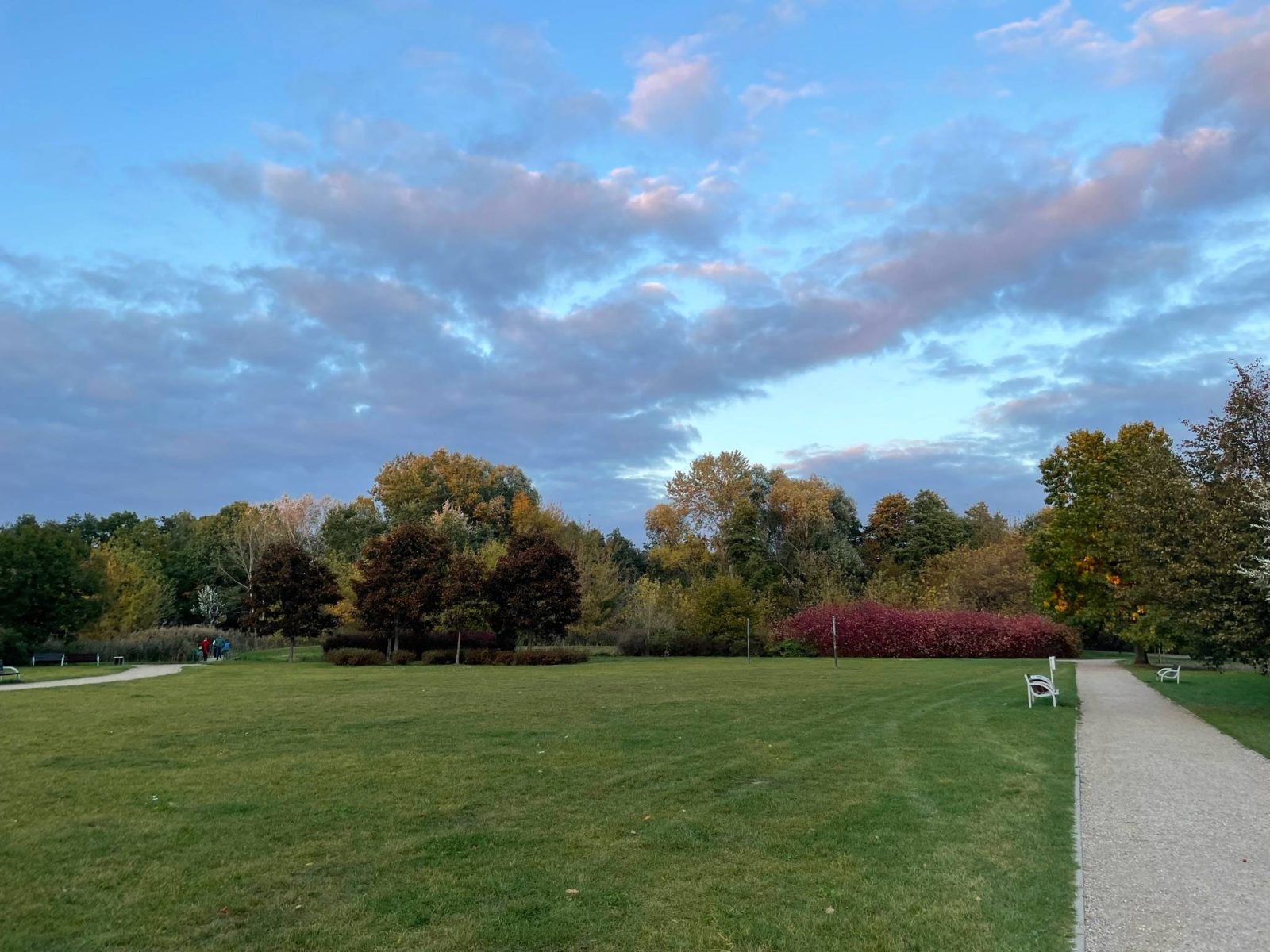 spacery z psem spacery z mopsikiem Czuczu na spacerze mopsiczka Czuczu