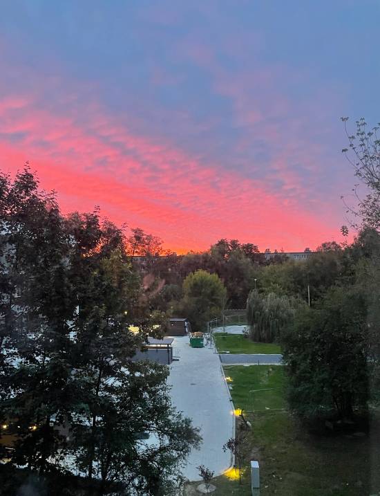 spacery z psem spacery z mopsikiem Czuczu na spacerze mopsiczka Czuczu