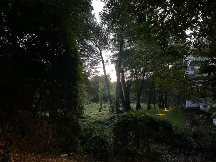 spacery z psem spacery z mopsikiem Czuczu na spacerze mopsiczka Czuczu