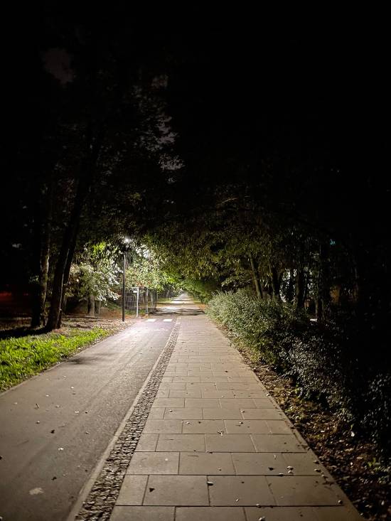 spacery z psem spacery z mopsikiem Czuczu na spacerze mopsiczka Czuczu