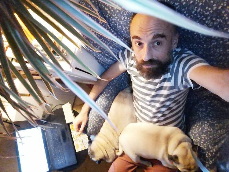 mops mopsik mopsiki Zazie