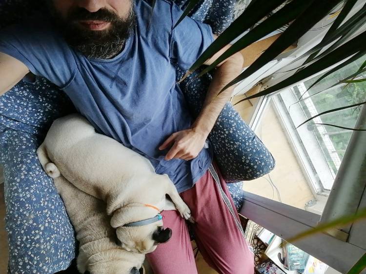 mops mopsik mopsiki Zazie