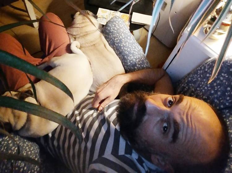 mops mopsik mopsiki Zazie