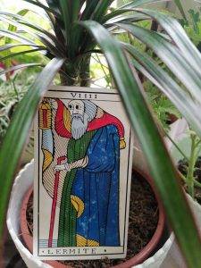 karta dnia: IX PUSTELNIK