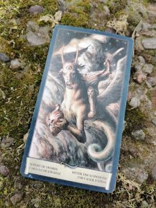 karta dnia: RYCERZ MIECZY