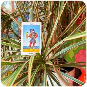 Karta dnia: WALET KIELICHÓW