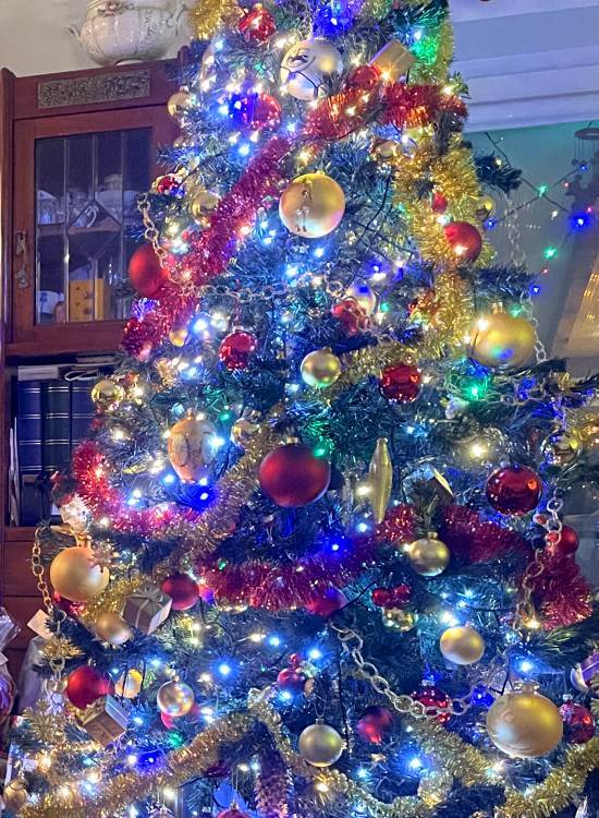 mopsy mopsiki Zazie KUmok Miszur Czuczu