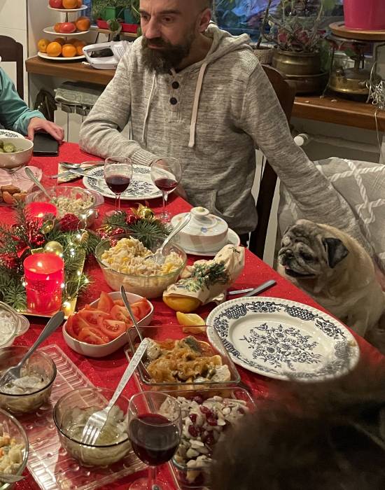 mopsy mopsiki Zazie KUmok Miszur Czuczu